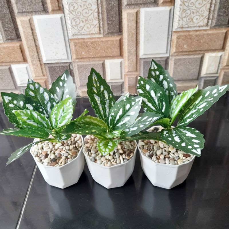 Tanaman Daun Pot Palsu Daun Hias Hijau Palsu Bagus