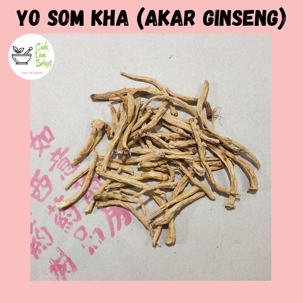 

Yo Som Chiu / Yo Som Kha / Yang Shen Xu / Akar Ginseng / Ginseng Amerika (25 GR)