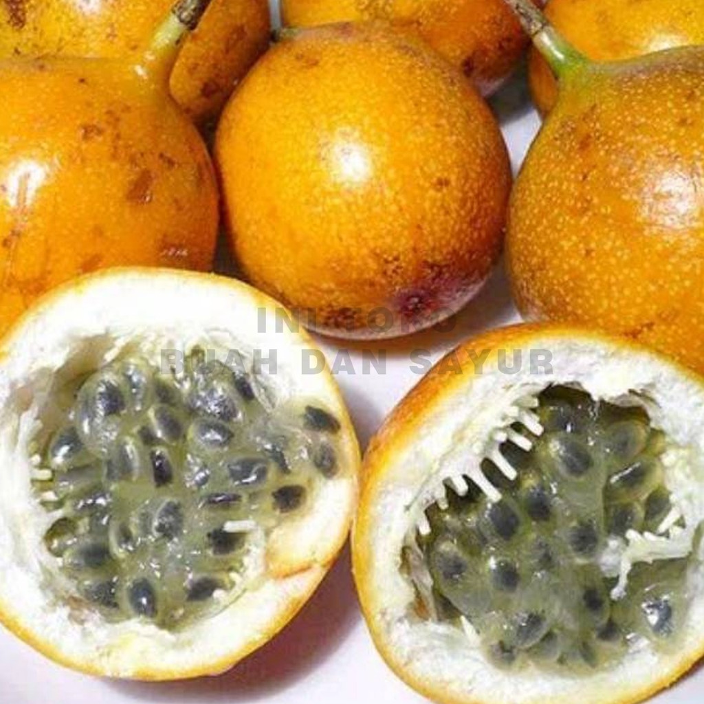 

PROMO BESAR BUAH MARKISA