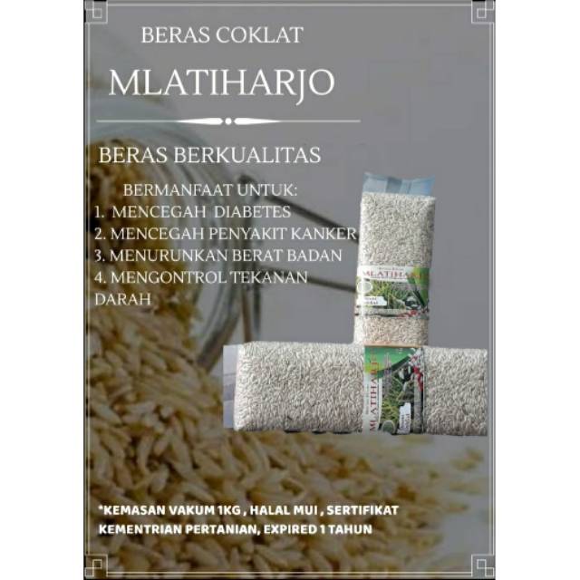 Manfaat Beras Coklat Untuk Diet