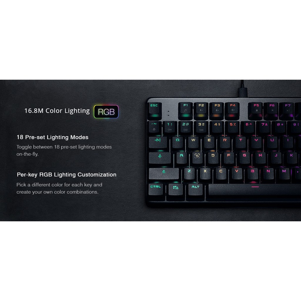 Tecware Phantom L TKL RGB Mechanical Gaming Keyboard - Tenkeyless, Outemu Dustproof Switches, 87 Keys, USB-C, 1.8m Braided Cable
