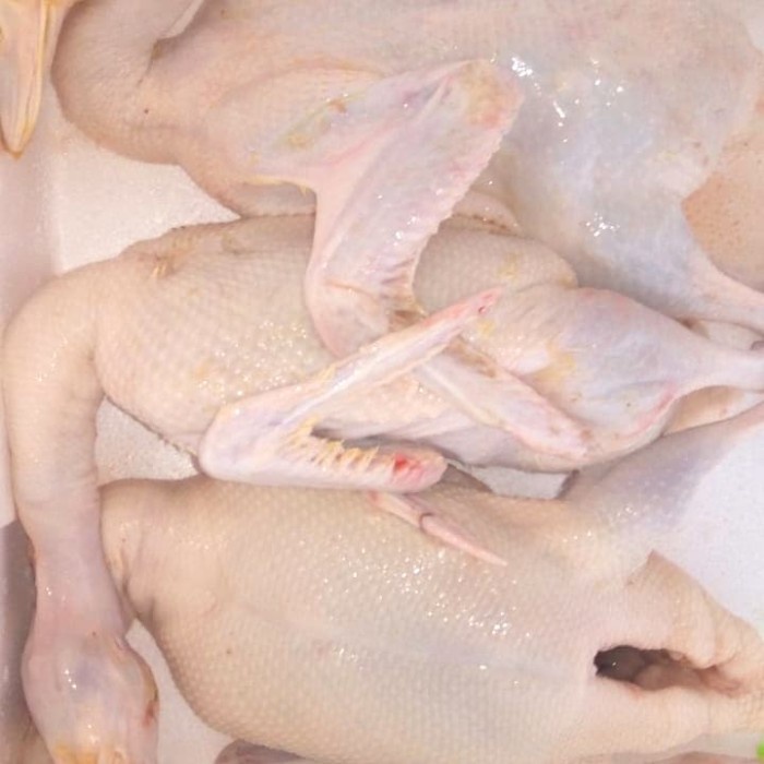 

Bebek Pekin 2.0 kg