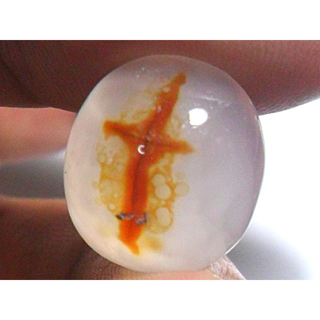 AG103 Oval Cabochon 14x13mm 8.15ct Natural Untreated Figure Golden Orange Cross Picture Agate