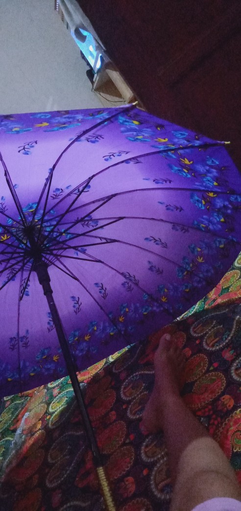 Payung Besar Lipat Standar Ruji 16 Impor Panjang Gagang Bengkok Motif Bunga - Payung Murah Grosir