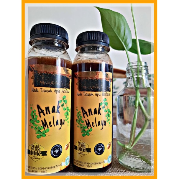 

MADU ANAK MELAYU | MADU ASLI APIS MELLIFERA | 250 ML