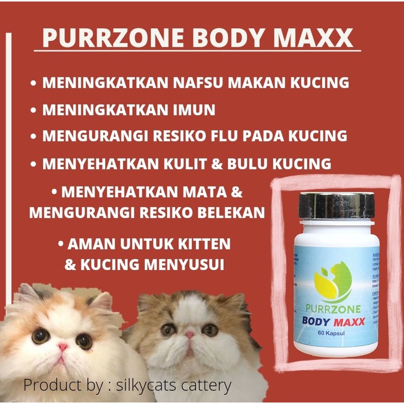 Vitamin penambah nafsu makan , imunitas &amp; bulu kucing. PURRZONE BODYMAXX. Multivitamin harian kucing