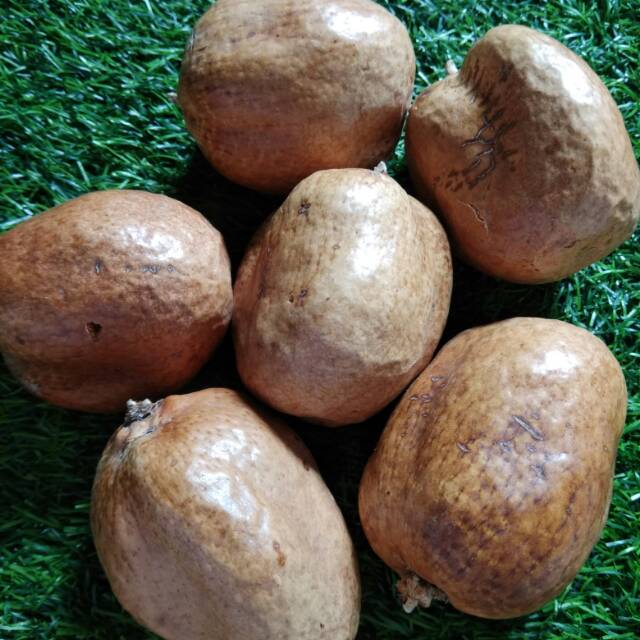 

Buah Zuriat|Doum |Original Promil 1kg