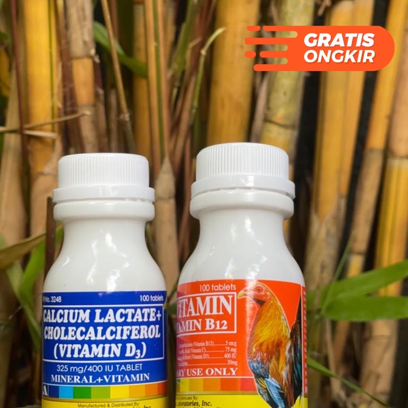 Sepaket Multivitamin dan Kalsium Ayam Filipina Arvet