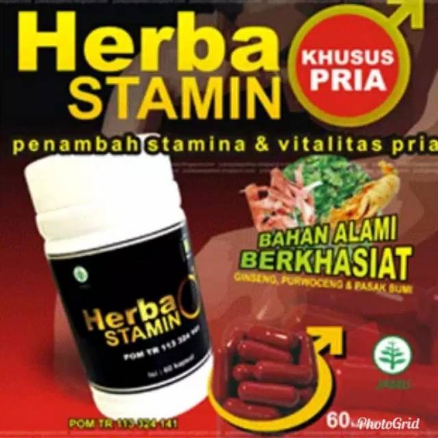 Herba stamin ( khusus pria)