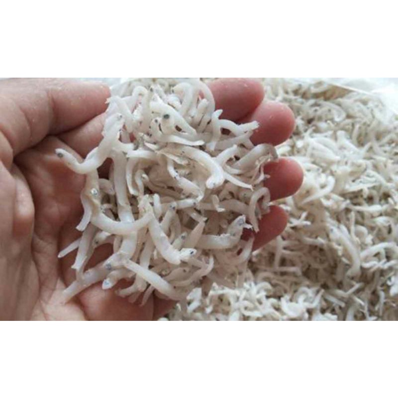 

IKAN TERI | TERI MEDAN | TERI NASI