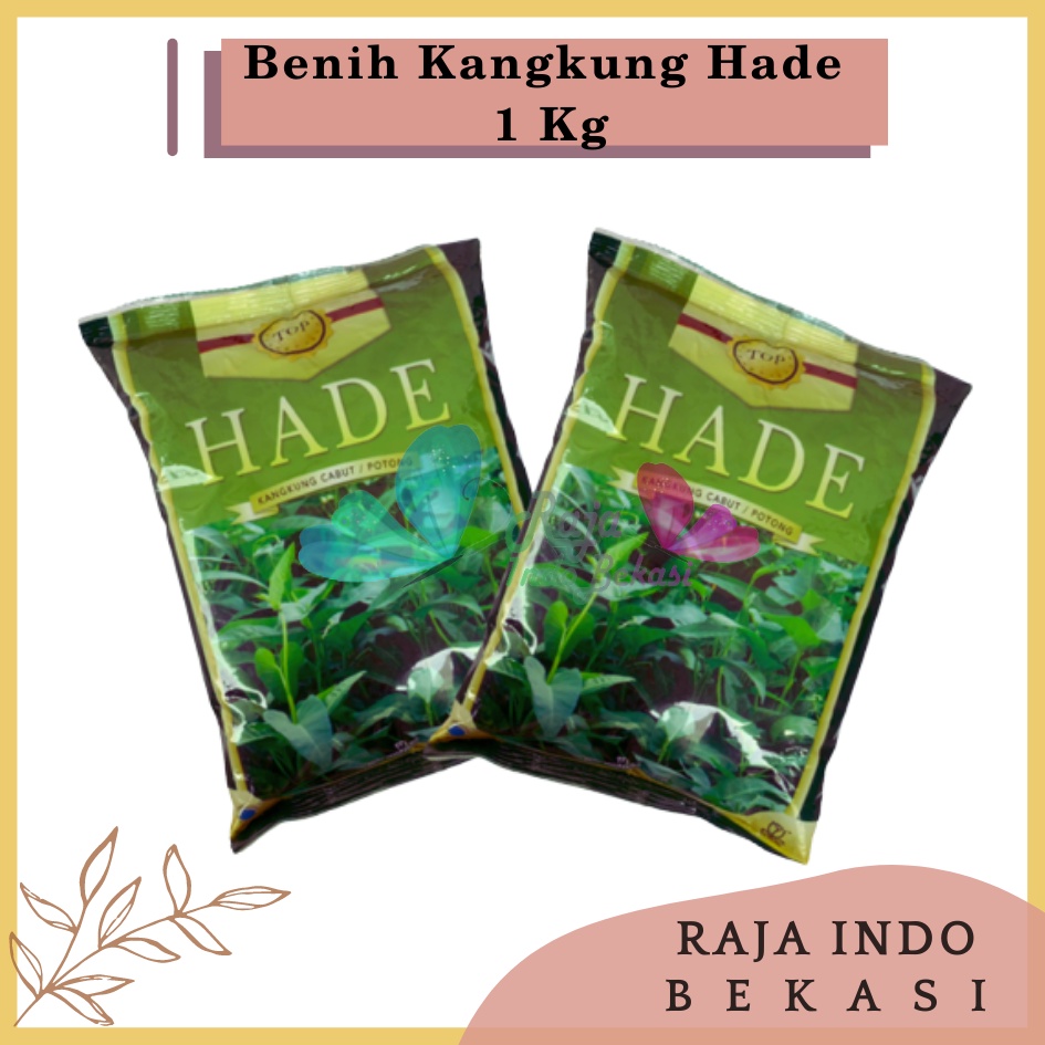 Benih Bibit Kangkung HADE 1 Kg 1000 Gram 100% ORIGINAL Benih Kangkung Bangkok Darat Hidroponik Serimpi Daun Sempit Super - Bibit kangkung &quot;HADE&quot; cabut / potong 1000gr BIBIT KANGKUNG MURAH 1KG