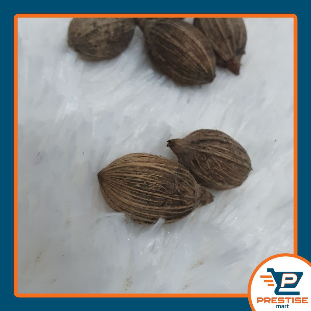 

Biji Palm / Hiasan Hampers parsel souvenir vintage