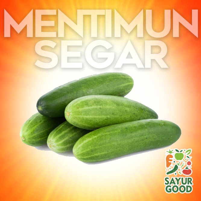 

Timun Sayur Segar / Timun Sayur Fresh / Mentimun 500 gr (Sayur Segar)