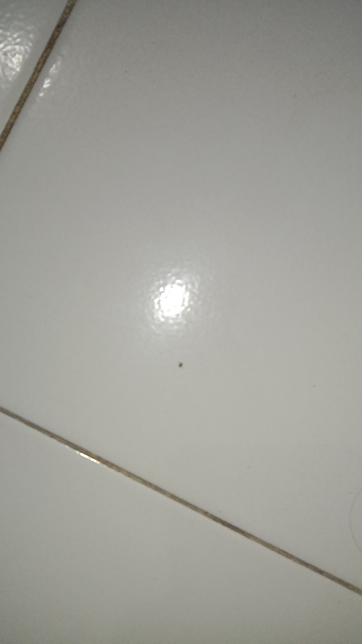 Tunik Batik Kalesha#14 Solo