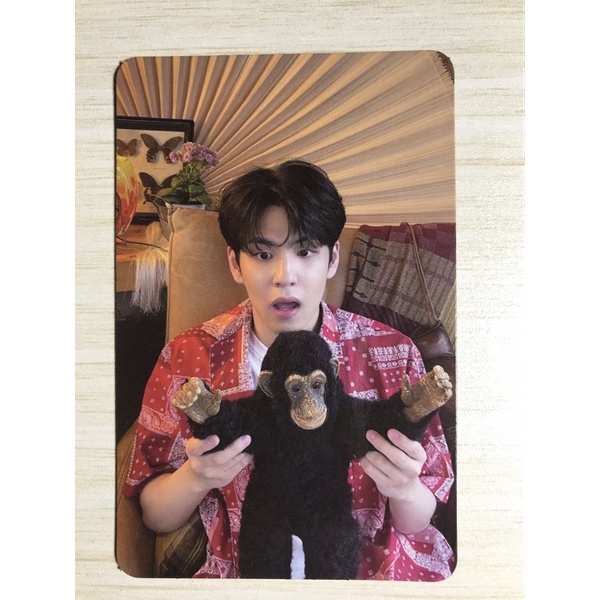 PC EOD RTM Wonpil Monyet (Pegang Boneka Monyet)