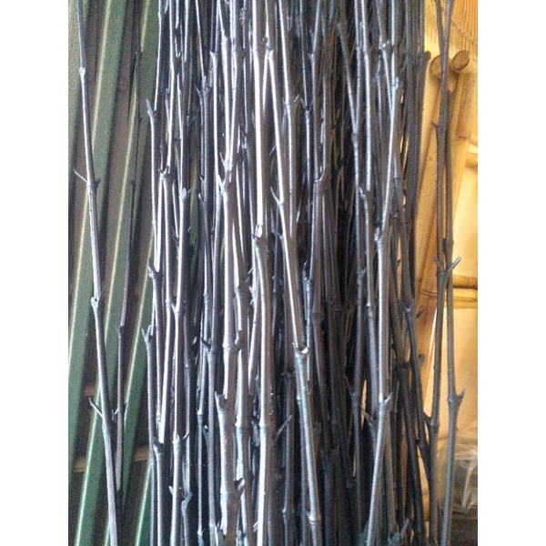 1 bambu cendani lurus WARNA