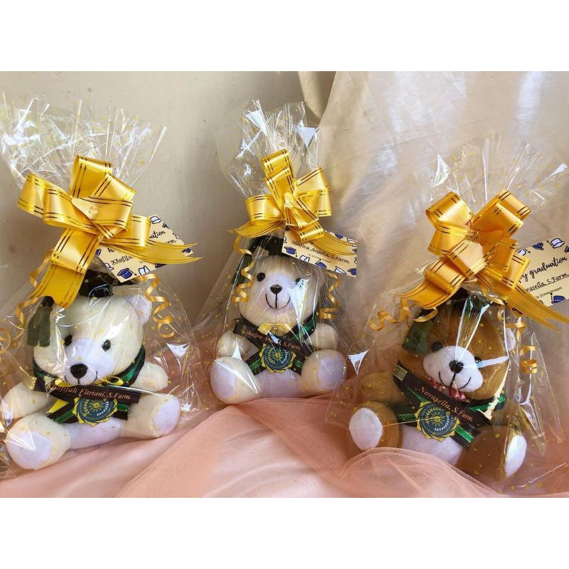 Boneka Wisuda/Hadiah wisuda/hadiah