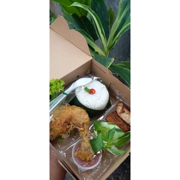 

Nasi Lalapan