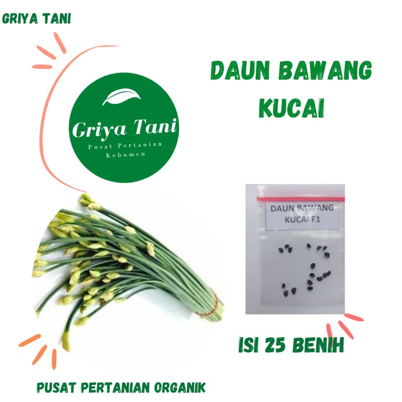 Jual Benih Sayuran 25 Biji Benih Daun Kucai Shopee Indonesia