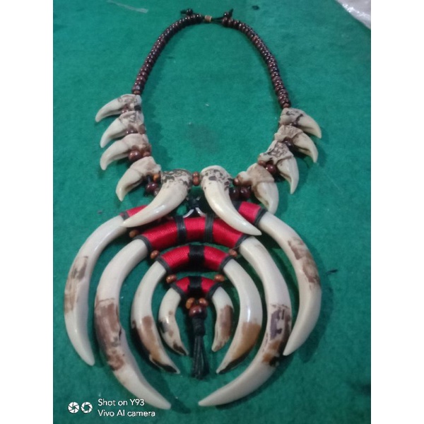 KALUNG TARING BABI