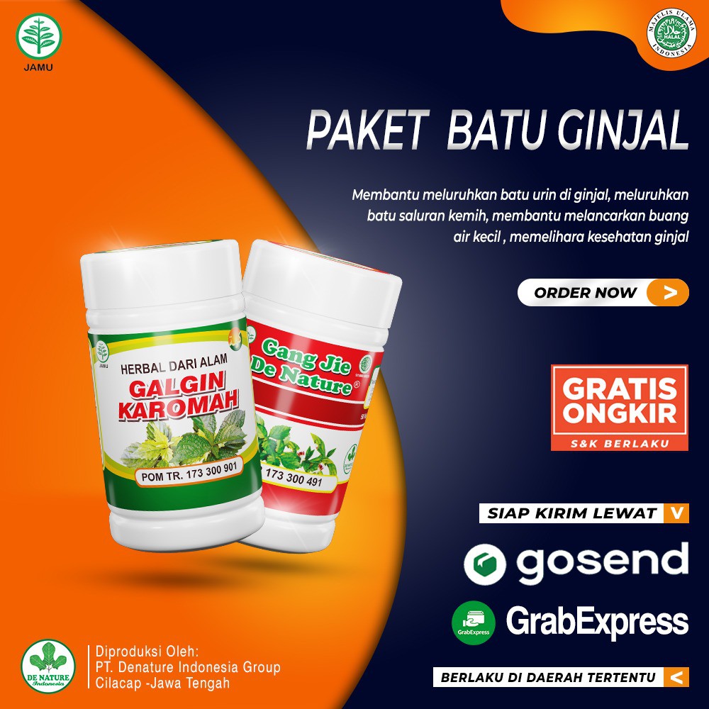 Obat Ginjal - Batu Ginjal - Gagal Ginjal - Radang Ginjal - Infeksi Ginjal Herbal De Nature