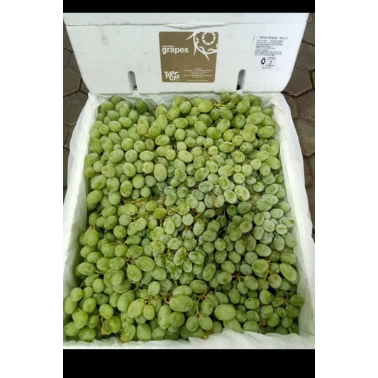 

buah anggur hijau 1 box segar dan renyah