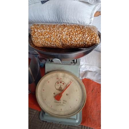 

JAGUNG POPCORN MERK YELLOW,JAGUNG POPCORN MURAH