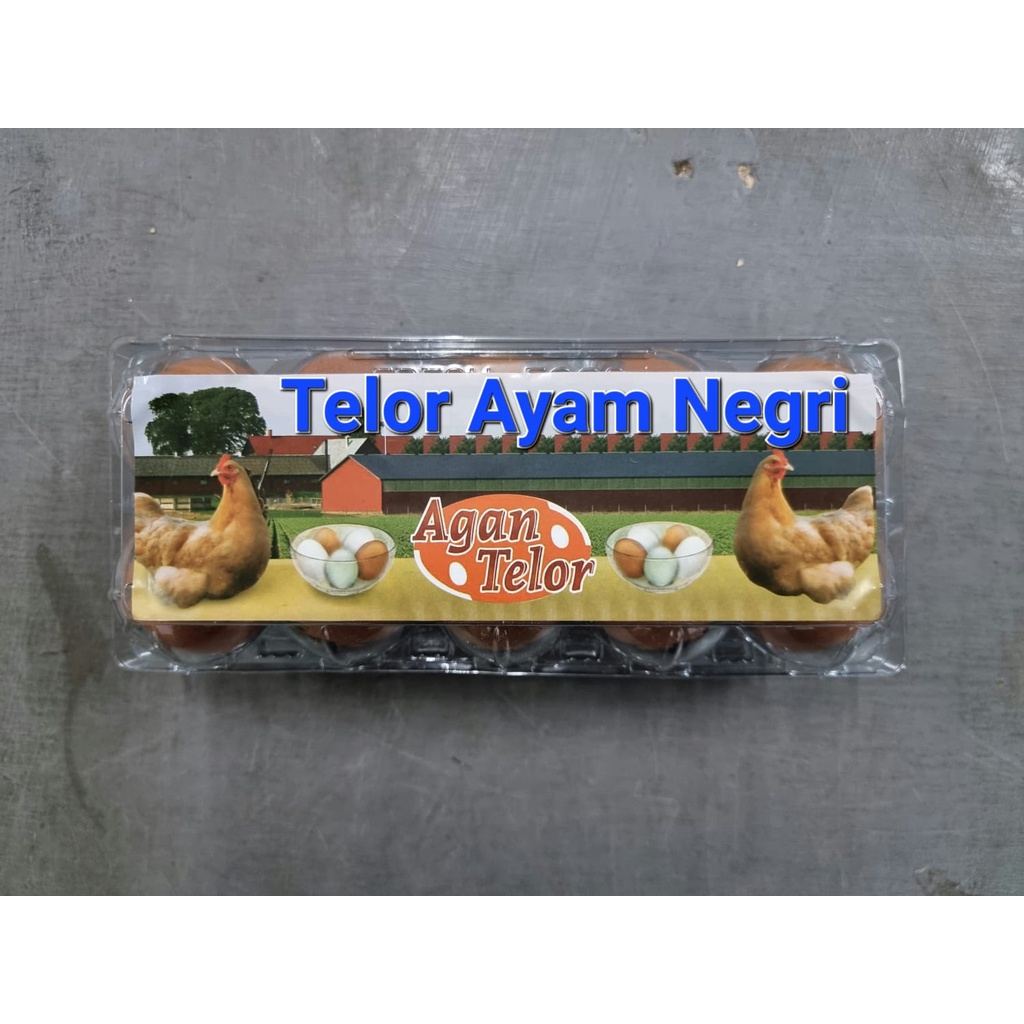 Telur Ayam Negeri Fresh 10 Butir/Pack Mika