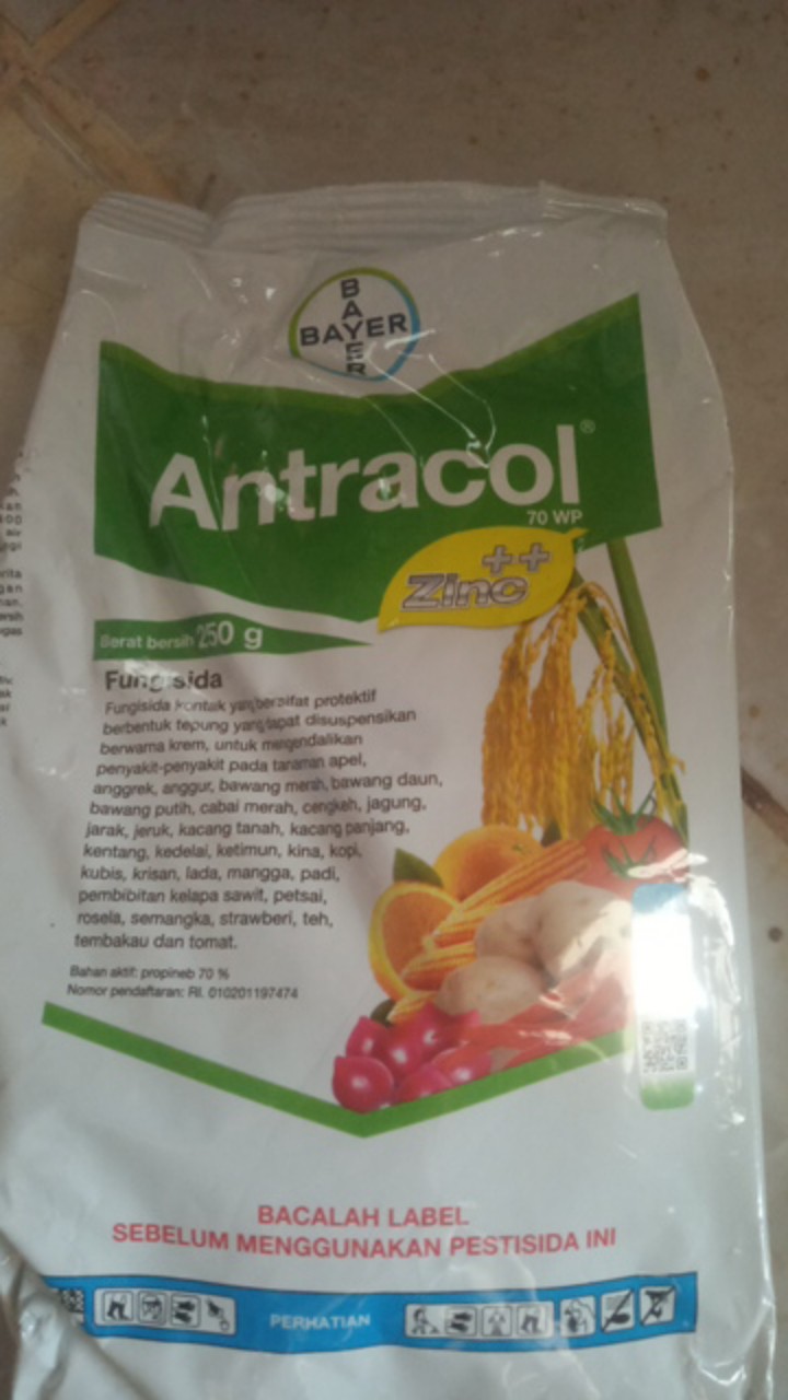 Fungisida Antracol 70 Wp 250gr