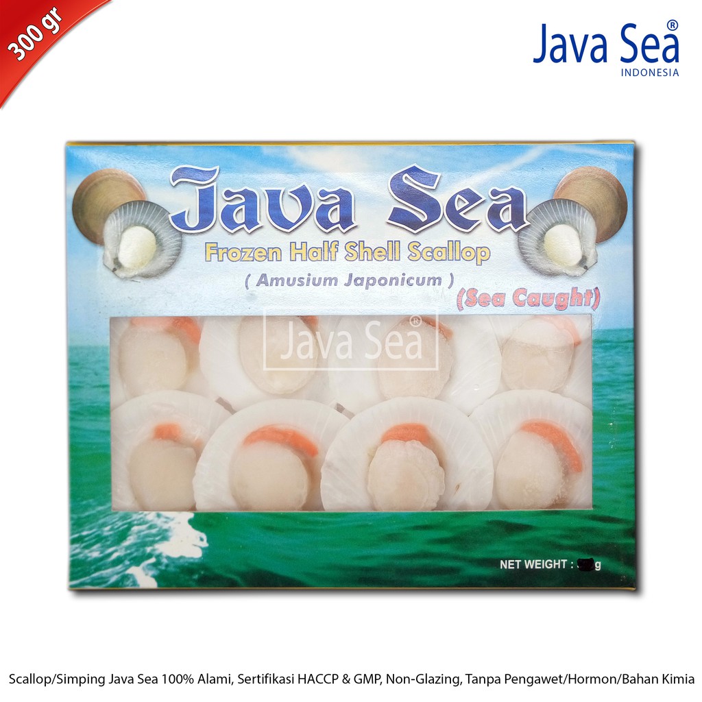 

JAVA SEA Scallop Cangkang Daging Telur 26-30 pcs per pack 300gr