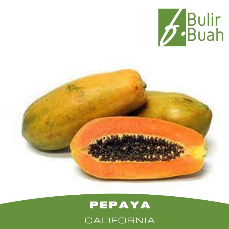 

Buah Segar Pepaya California /Pcs