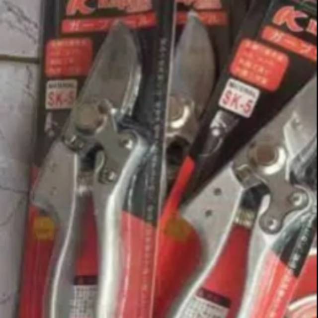 Gunting kapusi jepang