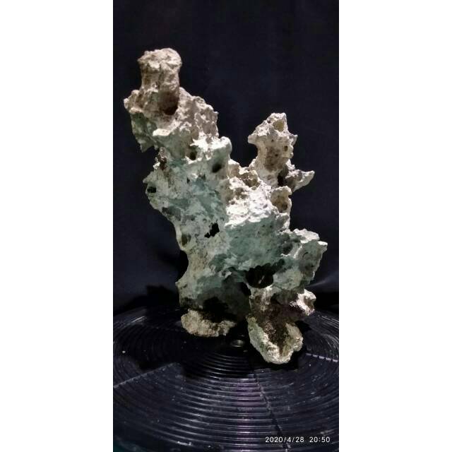 batu karang gunung bonsai dan aquascape