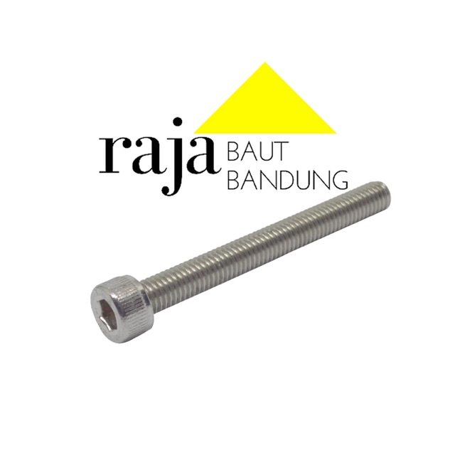 Baut L M6 6x100 Stainless Steel 304 THE