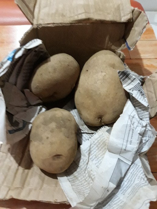 Kentang Dieng Super Jumbo (1kg)