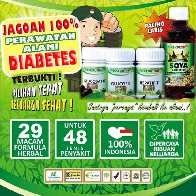 Herbal paket Naturindo untuk Diabetes