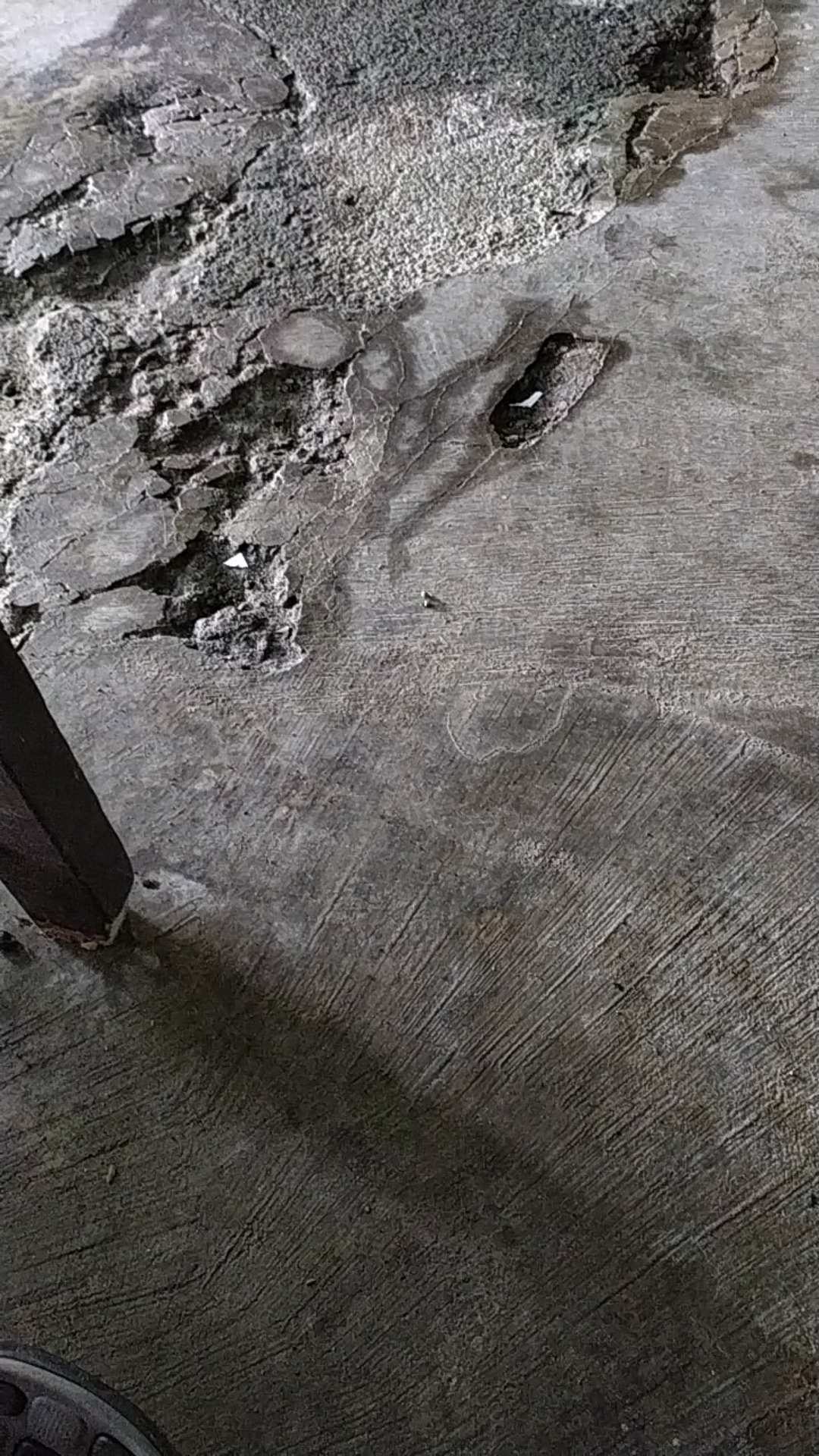 [bisa Cod] Insektisida Akodan 35ec 100ml Endosulfan 350 G/l Bkn Tiodan Indodan