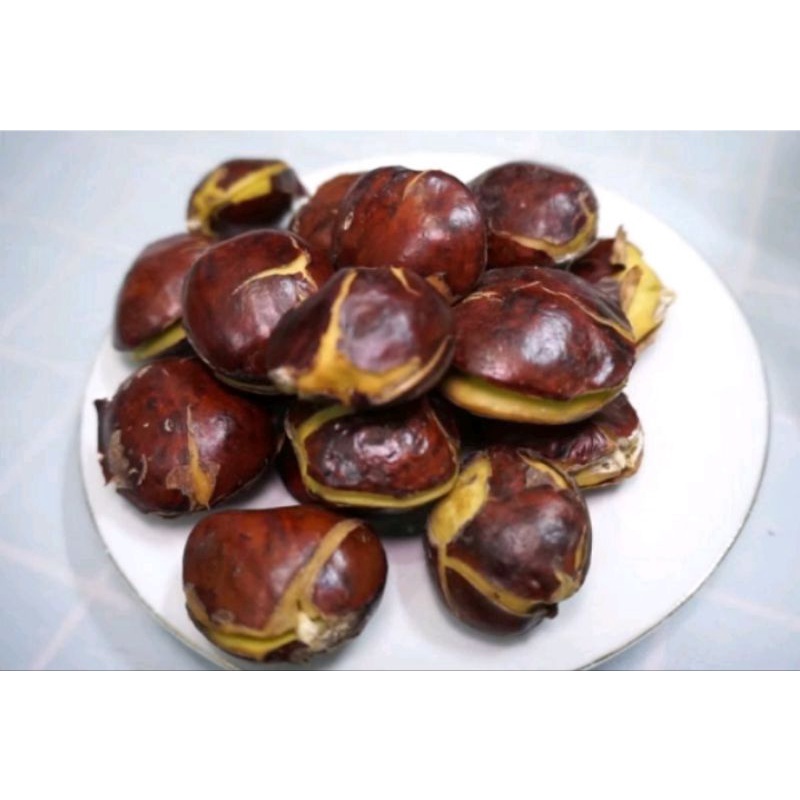 

jengkol super 250 gr