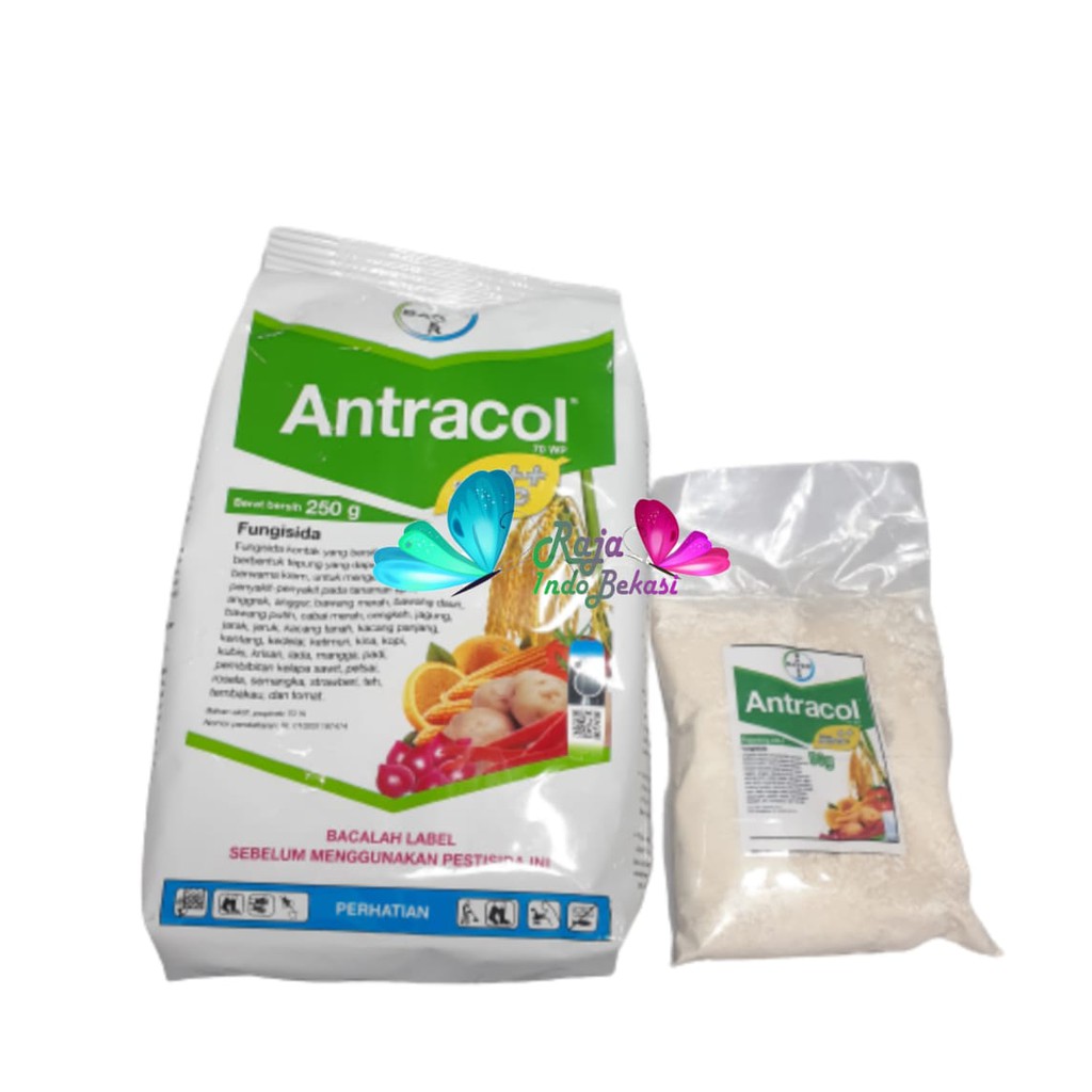 Antracol Fungisida Repacking 50 Gram - Fungisida Antracol Anti Jamur Repack 50gram