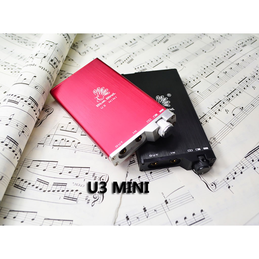 Portable AMP - Bluebird U3 Mini Class A