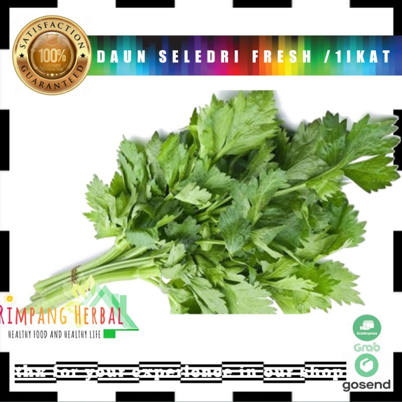 

seledri | daun seledri | daun sop | bumbu dapur | sayur segar termurah