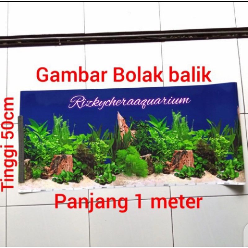 Wallpaper background begron gambar aquarium Tinggi 50cm panjang 1 meter