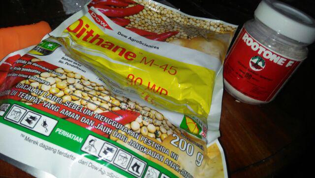 Zat Pengatur Tumbuh (zpt) Rootone F