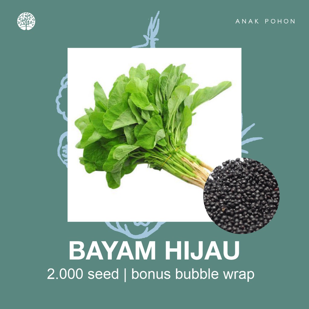 SERBA SERIBU - Benih Bibit Biji - Paket Benih Sayuran DAUN Termurah Kangkung Sawi Selada Seledri Kol-Bayam Hijau