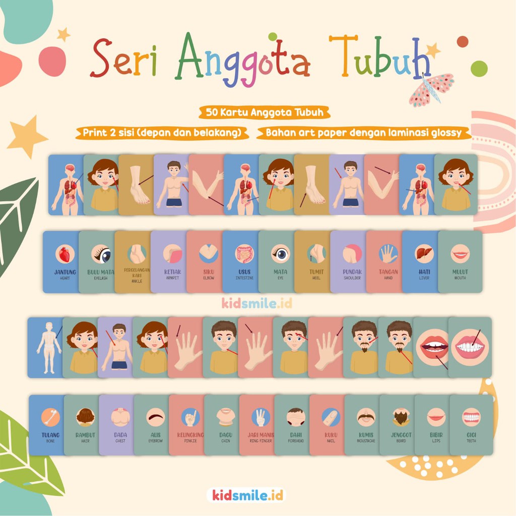 Flash Card Kidsmile ANGGOTA TUBUH Mainan Edukasi Anak Flashcard Anak Flash Card Anak Montessori