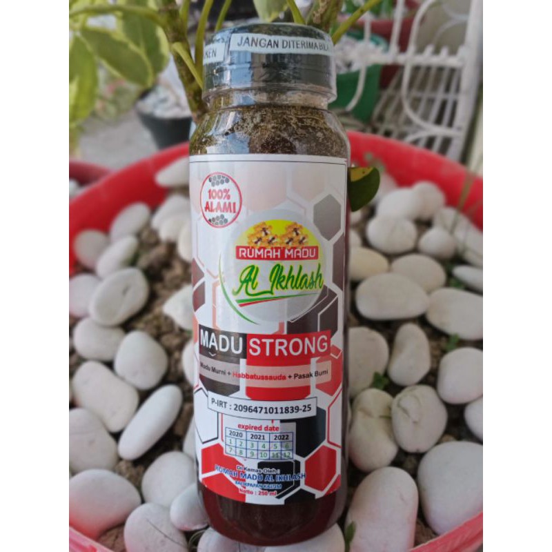 

Madu Str0ng 250ml