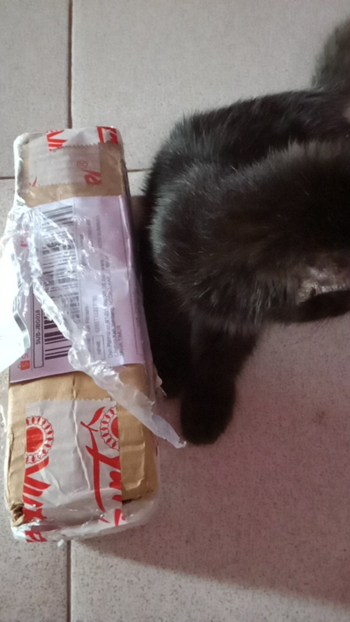 Garuda Usa 10 Inch - Cto Karbon Blok Water Filter