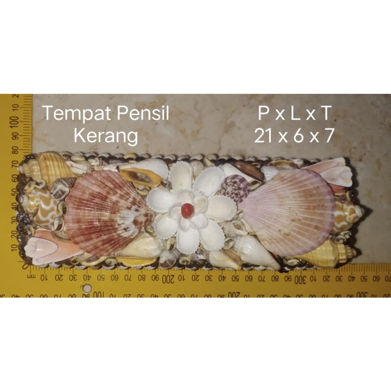 

Tempat Pensil dan accesories kerang