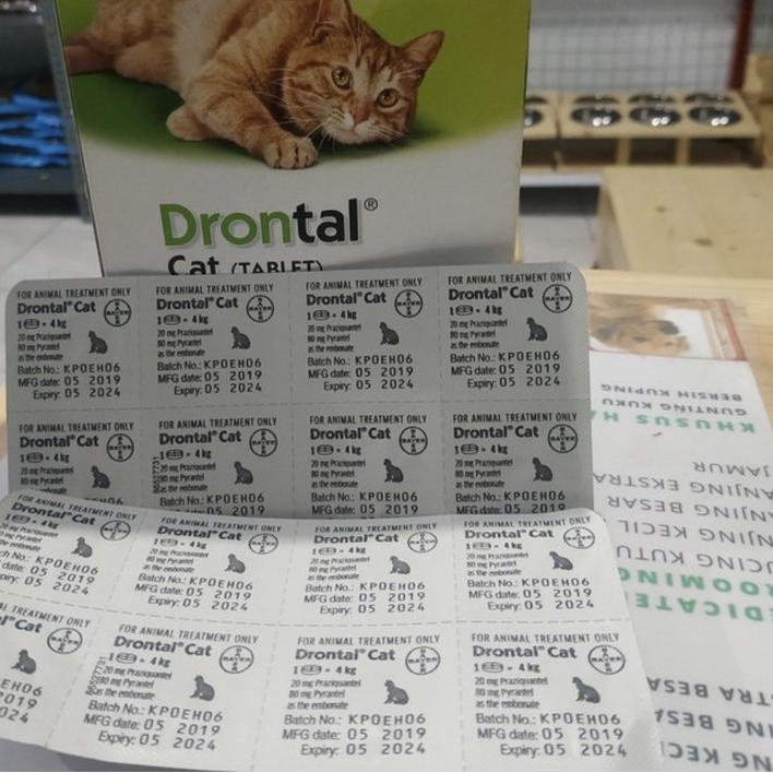 Ju0026T COD (1 TABLET) DRONTAL CAT  OBAT CACING HEWAN KUCING BB UP TO 