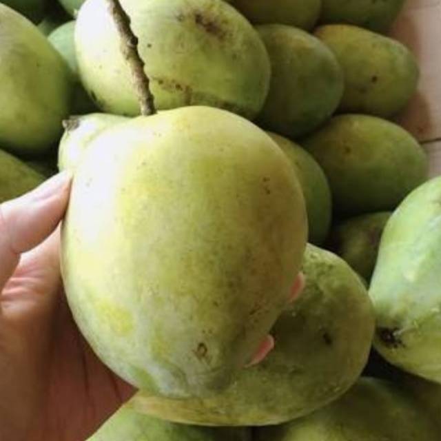 

Mangga cengkir 1kg